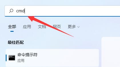 win11添加过时硬件教程插图2