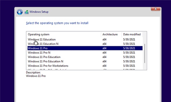 快速升级泄露版win11教程插图3