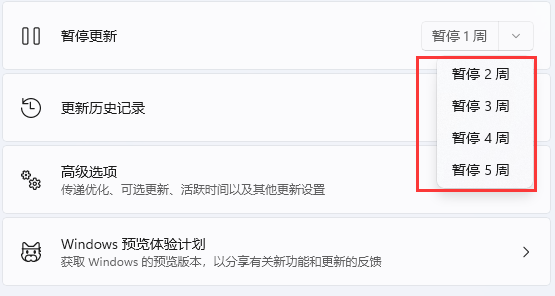 win11停止更新设置教程插图4