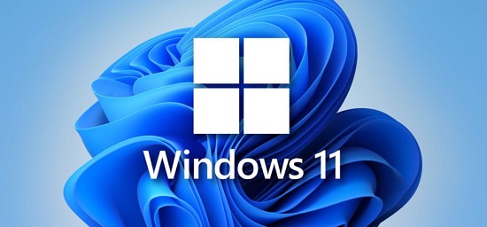 win11家庭版和专业版对比插图