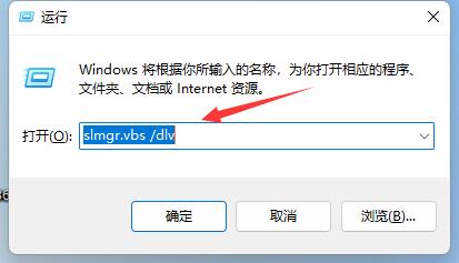 win11激活信息查询教程插图3