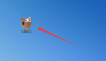 猫咪回收站不支持win11吗插图8
