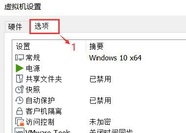 win11vmware虚拟机蓝屏解决方法插图