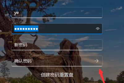 win11开机密码怎么取消掉插图3