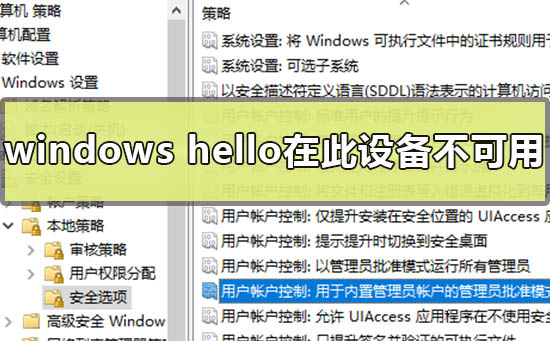 如何解决windows hello在此设备上不可用插图