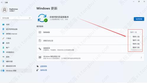 win11永久关闭自动更新的四种方法