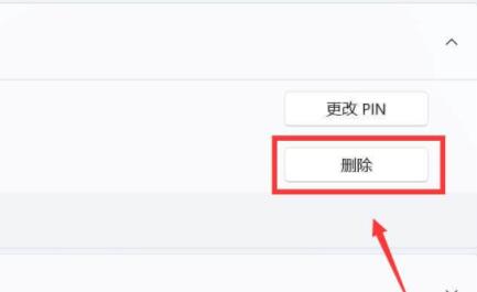 win11删除pin码为灰色解决方法插图6