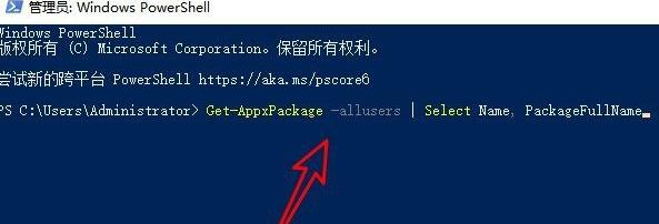 win11应用商店点了没反应解决方法插图1