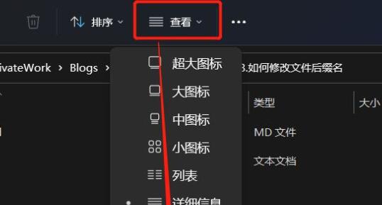 win11更改文件后缀教程插图1