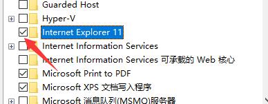 win10卸载ie浏览器教程插图3