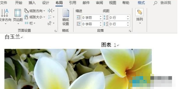 word图片怎么统一调整大小插图