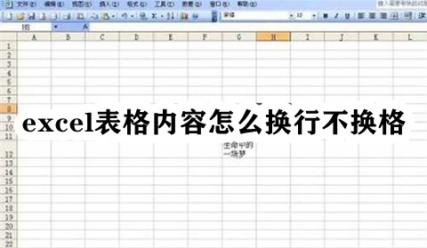 excel表格内容怎么换行不换格插图