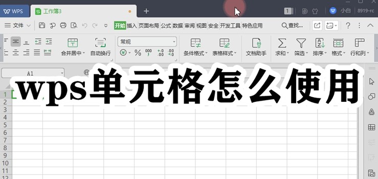 wps单元格怎么使用插图