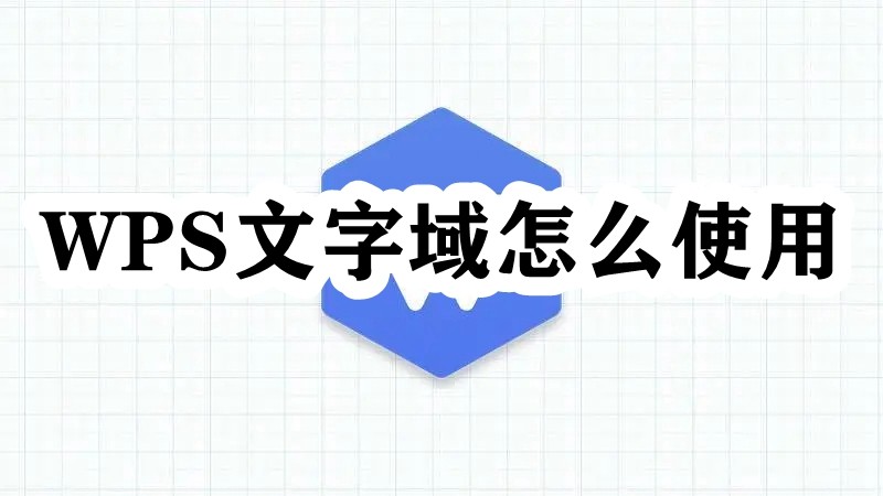 WPS文字域怎么使用插图