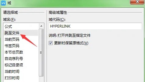WPS文字域位置插图3