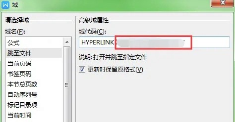 WPS文字域位置插图4