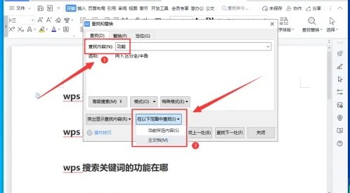 wps怎么搜索关键词插图4