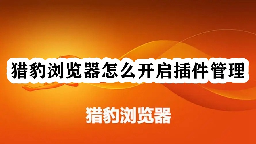 猎豹浏览器怎么开启插件管理插图