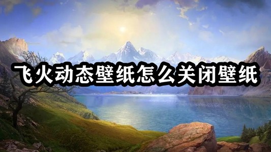 飞火动态壁纸怎么关闭壁纸插图