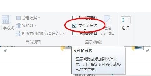 win10图片不显示后缀名不能直接改图片格式怎么解决插图2