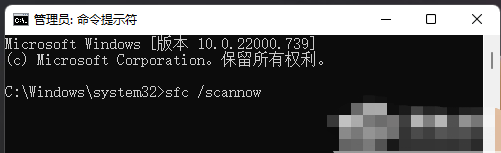 Win11更新错误0x80070422的三种解决方法插图6