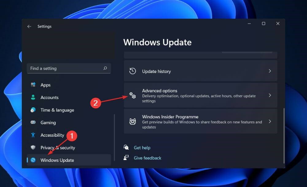 Win11系统中未检测到nvidia显卡解决教程插图2