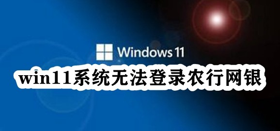 win11系统无法登录农行网银插图
