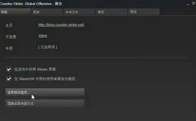Win10玩CSGO游戏掉帧帧数不稳定怎么解决插图2