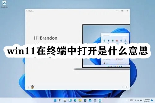 win11在终端中打开是什么意思插图