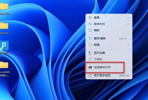 win11在终端中打开是什么意思插图1