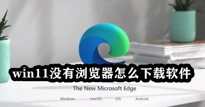 win11没有浏览器怎么下载软件插图