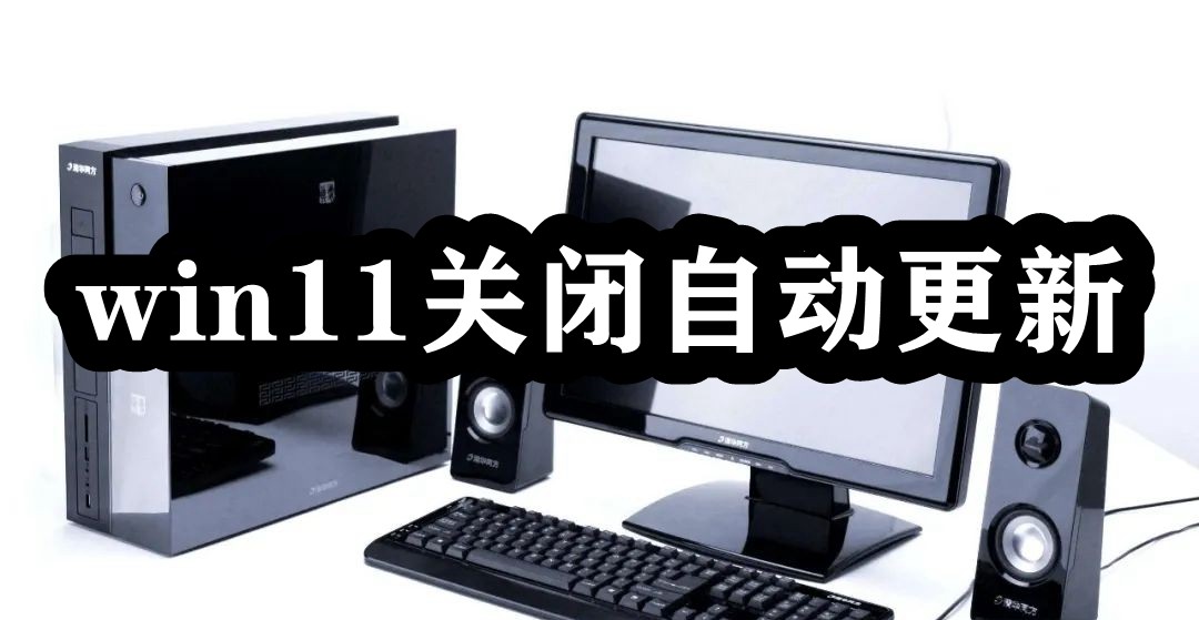 win11关闭自动更新插图