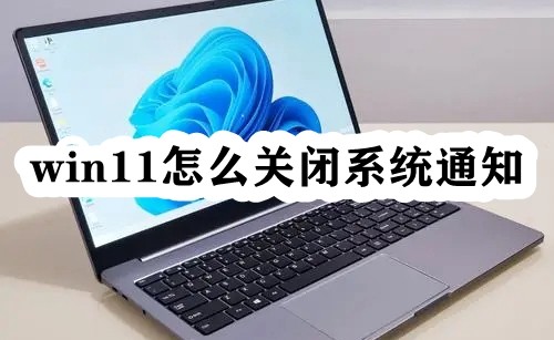 win11怎么关闭系统通知插图