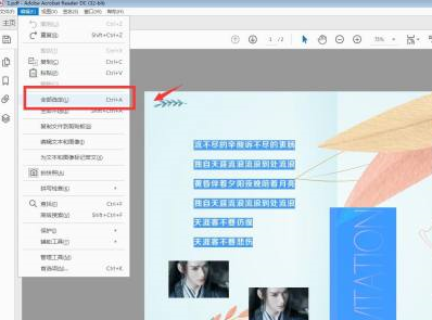 Adobe Acrobat Reader DC如何选择对象？Adobe Acrobat Reader DC选择对象的方法截图