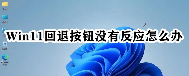 Win11回退按钮没有反应怎么办插图