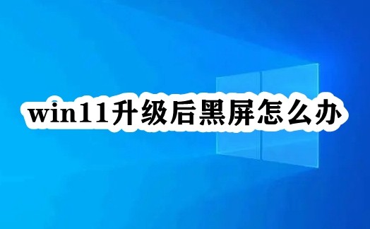 win11升级后黑屏怎么办插图