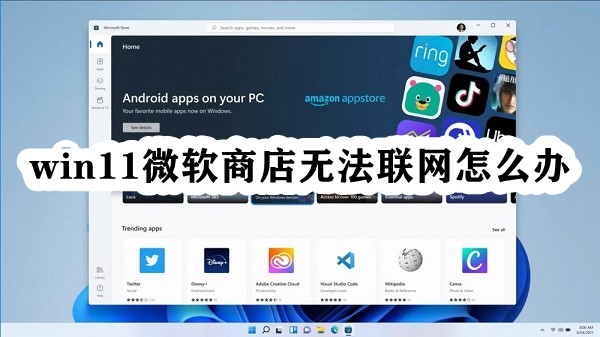 win11微软商店无法联网怎么办插图