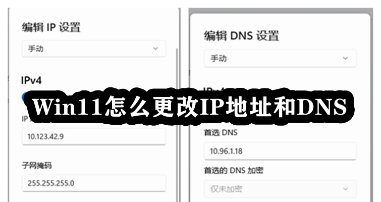 Win11怎么更改IP地址和DNS插图