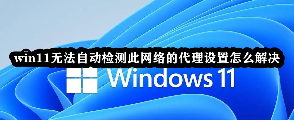 win11无法自动检测此网络的代理设置怎么解决插图