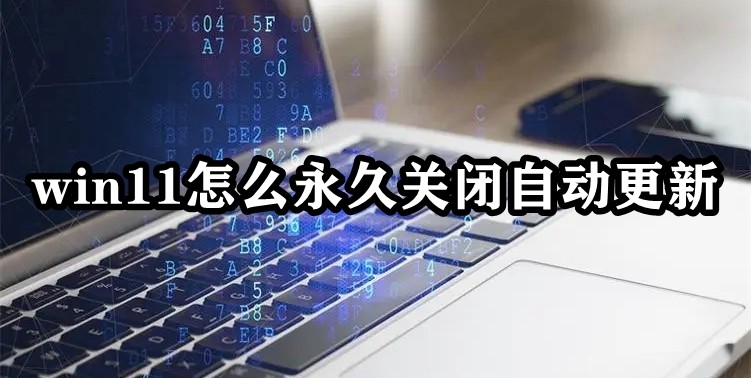 win11怎么永久关闭自动更新插图