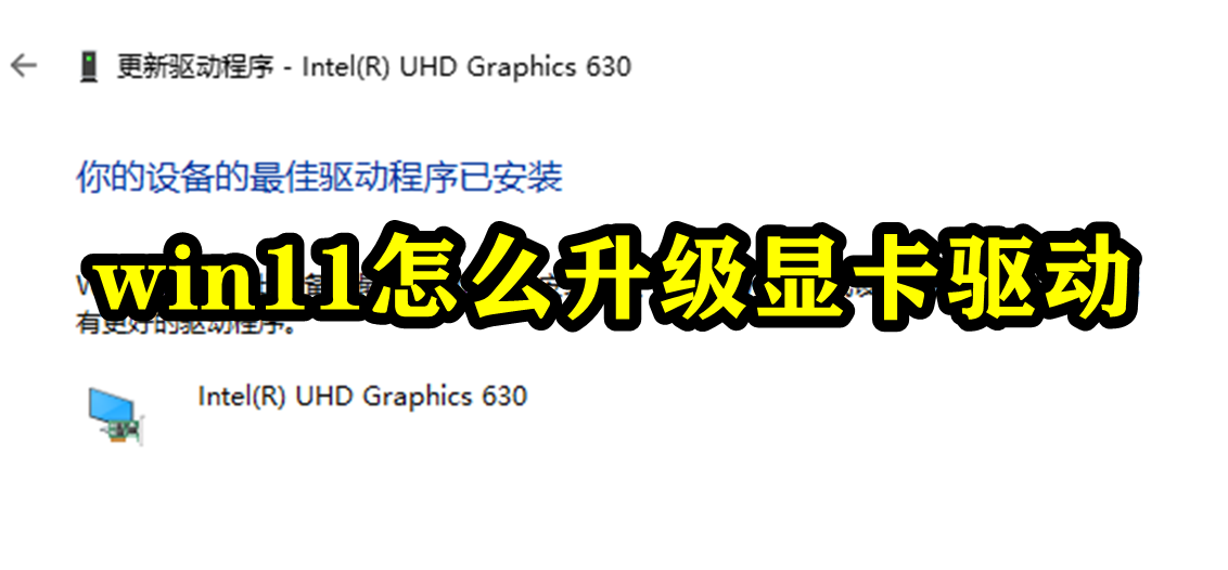 win11怎么升级显卡驱动插图