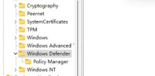 win11简体中文补充字体一直提示无法安装
