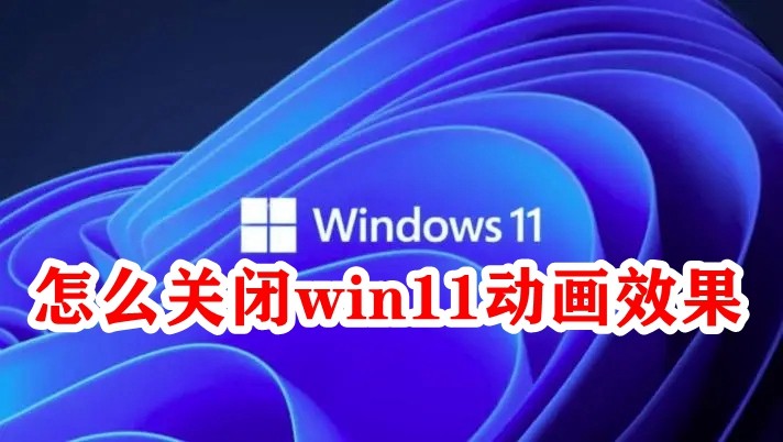 怎么关闭win11动画效果插图
