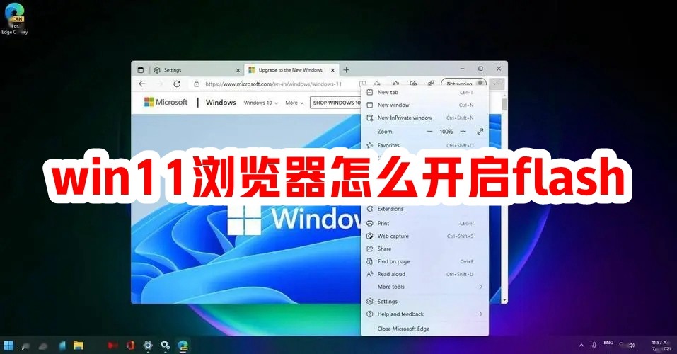 win11浏览器怎么开启flash插图