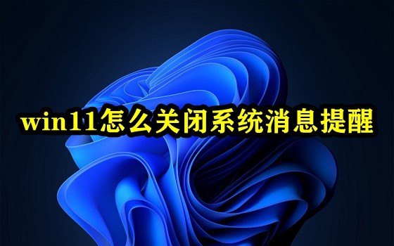 win11怎么关闭系统消息提醒插图