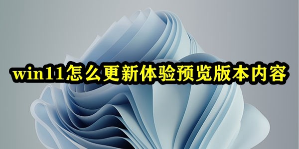 win11怎么更新体验预览版本内容插图