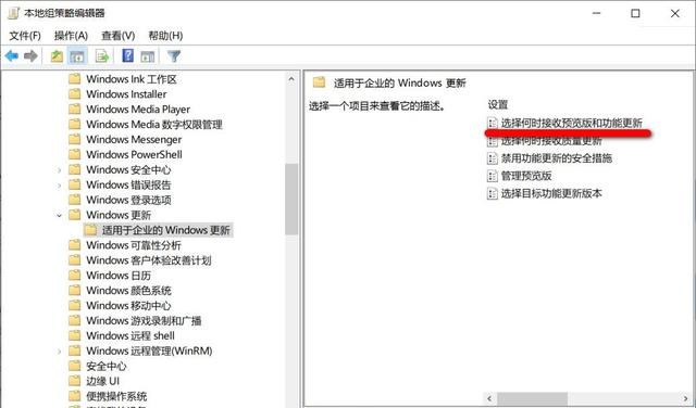 Win10如何关闭自动更新 阻止电脑自动升级到Win10 21H1版本方法插图