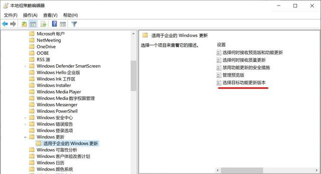 Win10如何关闭自动更新 阻止电脑自动升级到Win10 21H1版本方法插图2