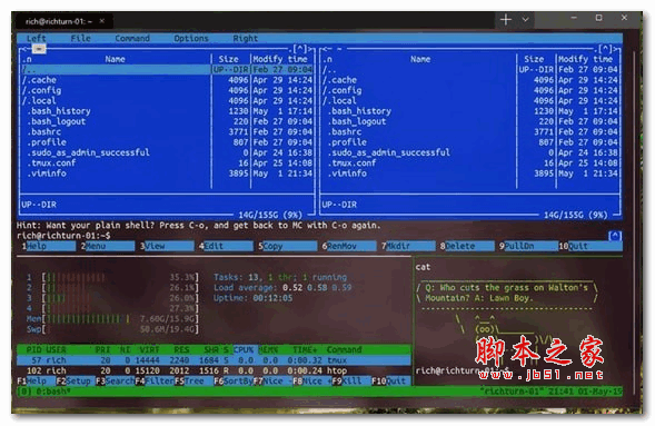 怎么自定义CMD之类工具的默认路径  Win10的CMD还能这么玩插图1