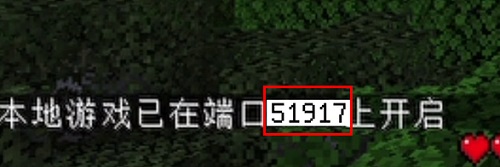 我的世界PCL2启动器怎么联机-PCL2启动器联机方法插图4